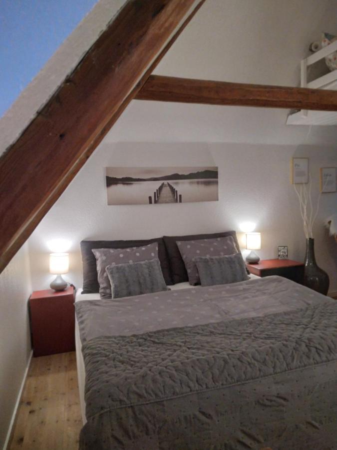 Bed and Breakfast Hoshelle à Ribe Extérieur photo