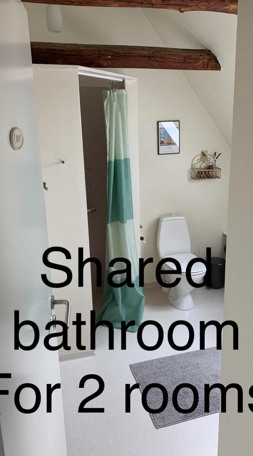 Bed and Breakfast Hoshelle à Ribe Extérieur photo